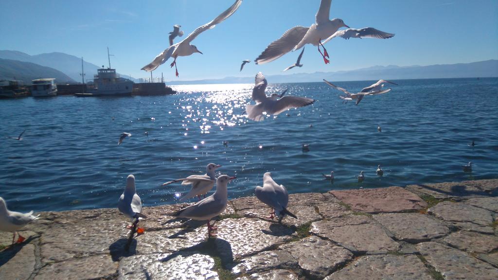 'By The Lake' Apartments Ohri Dış mekan fotoğraf